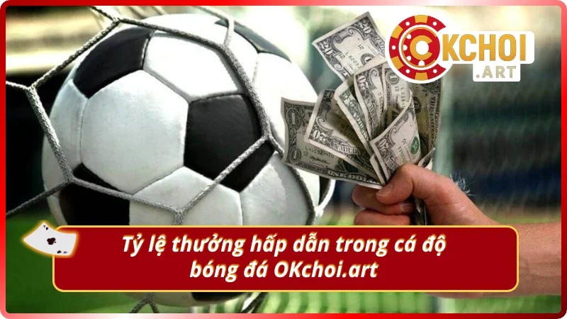 Nắm rõ tỷ lệ thưởng trong cá độ bóng đá