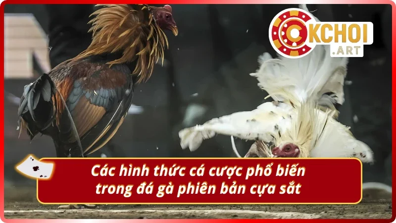 Những kiểu đặt cược được ưa chuộng nhất