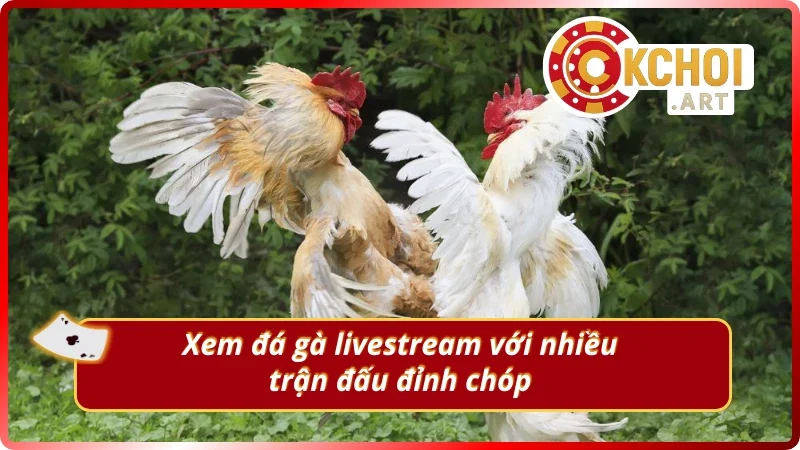 Không khí xem trực tuyến cuồng nhiệt như ngoài đời